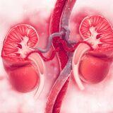 glp 1 agonist renal failure Renoprotective mechanisms of glucagon-like peptide-1 receptor agonists Effects of Glucagon-Like Peptide 1